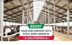 Boost Your Cow Comfort with Steel Dairy Barns in California