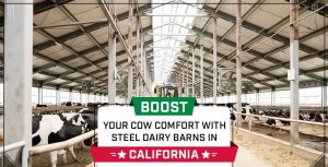 Boost Your Cow Comfort with Steel Dairy Barns in California