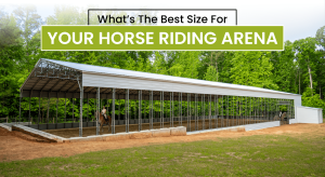 Horse Riding Arena